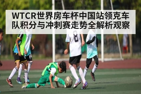 WTCR世界房车杯中国站领克车队积分与冲刺赛走势全解析观察